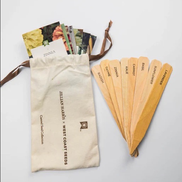 Jilly ❤️ Box Plant 🪴 Items - Picture 4 of 4